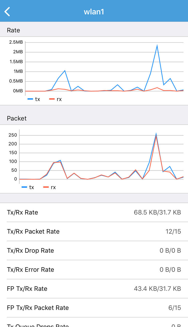 Interface Traffic Detail